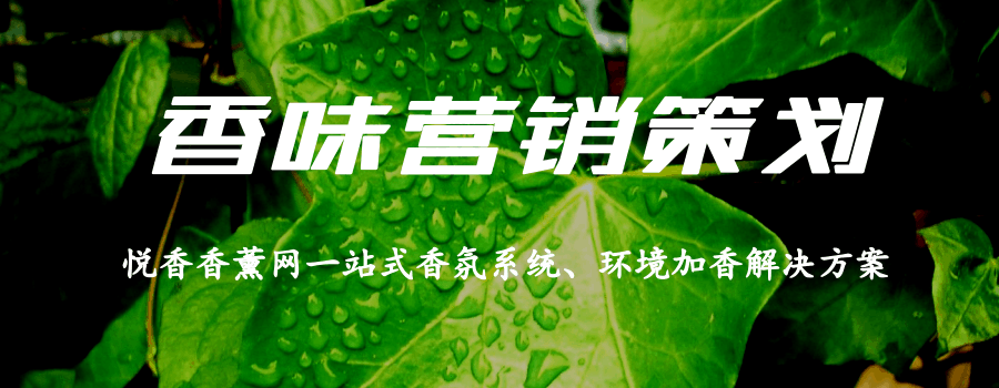 【干货】酒店香氛系统介绍及使用说明!