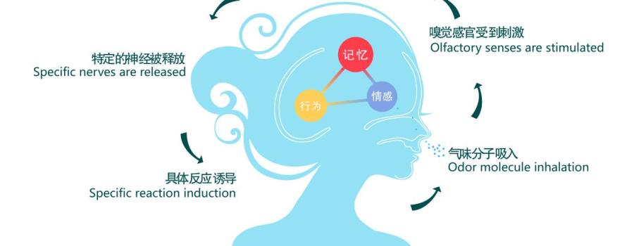 你不知道的经典五星酒店香型推荐来啦