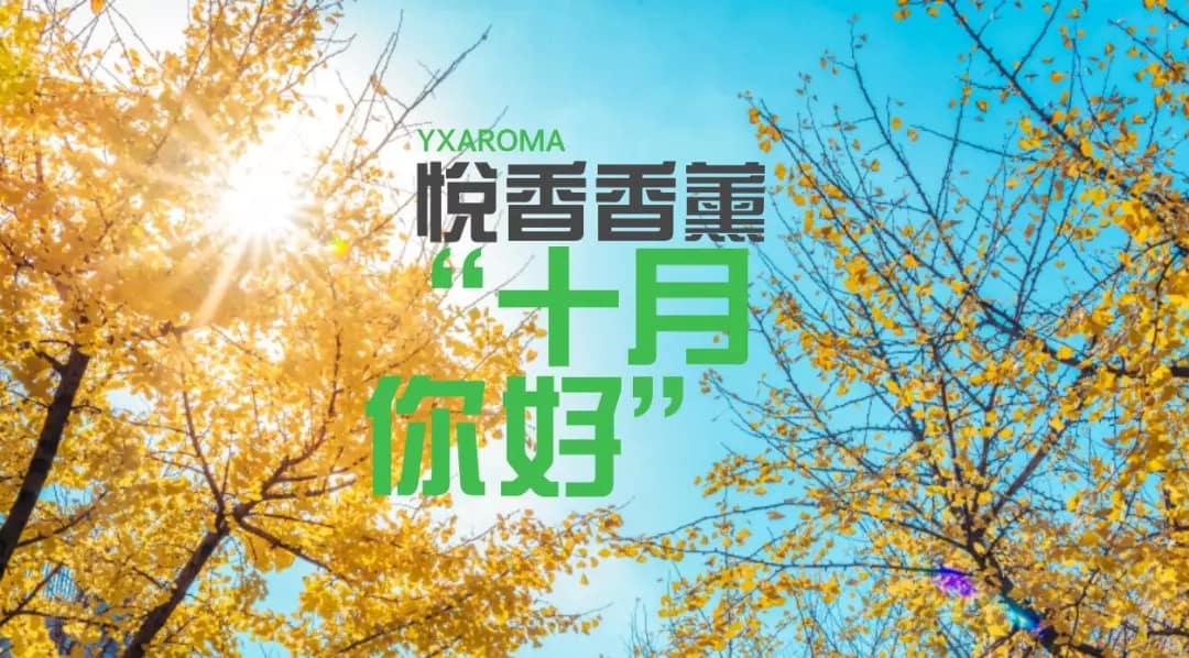 国庆小长假,你的金秋假期需要香氛相伴!