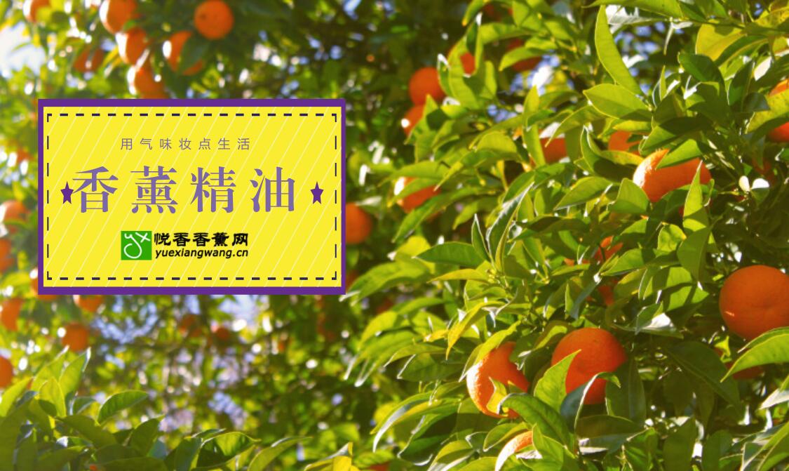 香薰精油的艺术:用气味妆点您的生活!
