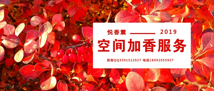 2019来悦香薰的香味世界来流连吧!